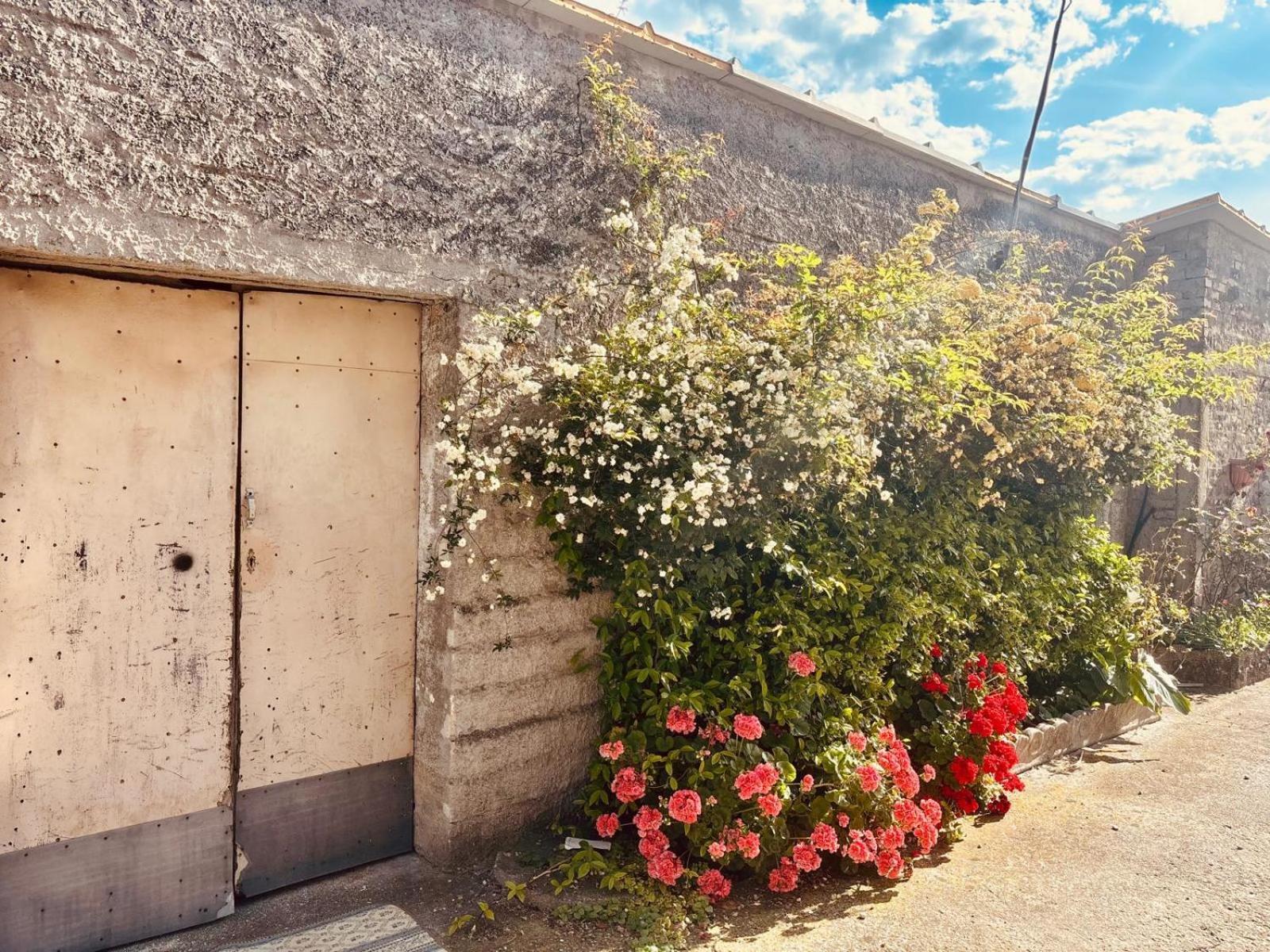 Camping Borghetti Ortona Exterior photo